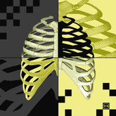 THE ARMOR - TORAX